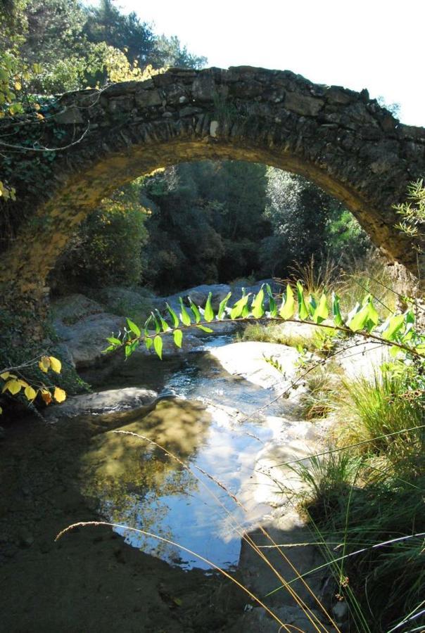 Casa Poetto Βίλα Rocchetta Nervina Εξωτερικό φωτογραφία