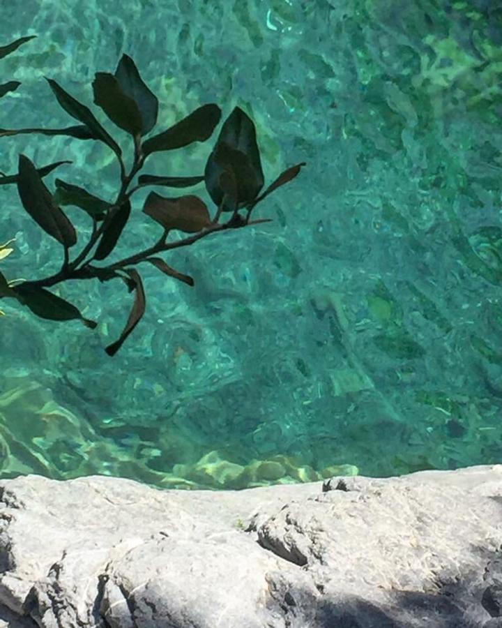 Casa Poetto Βίλα Rocchetta Nervina Εξωτερικό φωτογραφία