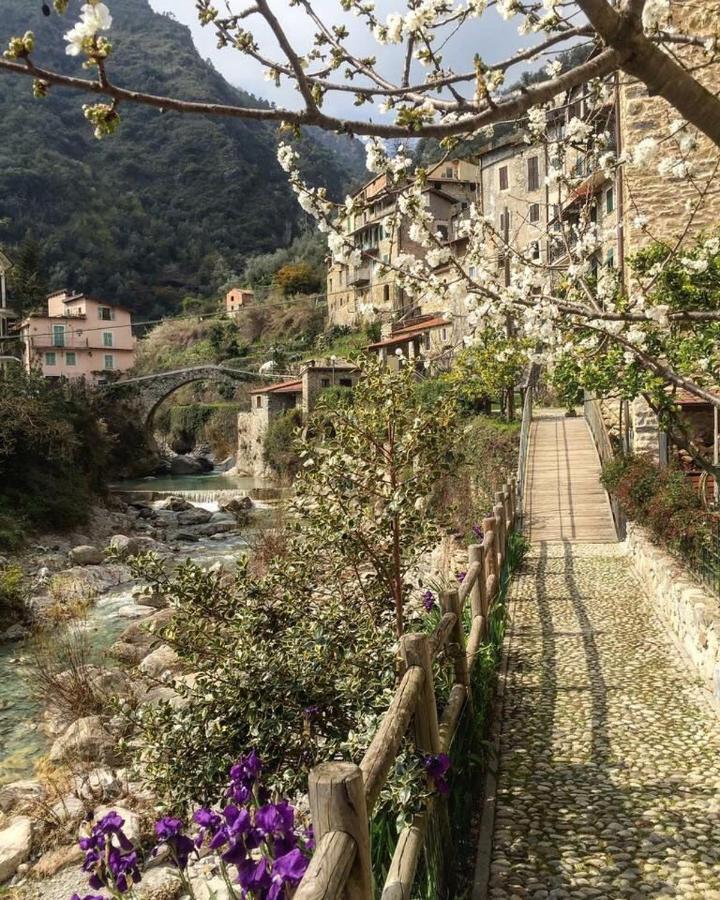 Casa Poetto Βίλα Rocchetta Nervina Εξωτερικό φωτογραφία